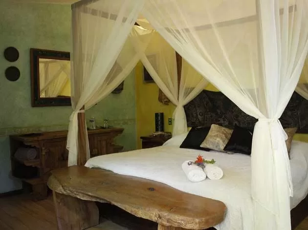 Descripción de Mandala Thai