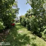 Casa en San Juan Cosala de 2 Recamaras y 2 Baños casa en venta en san juan cosala