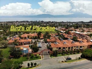 Condominio en Birds of Paradise de 2 Recamaras y 2 Baños casa en venta en birds of paradise