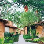 Hoteles en San Juan Cosalá