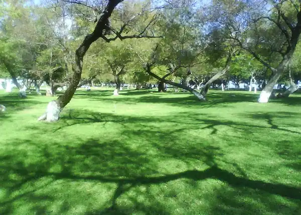 Parque de La Cristania Chapala