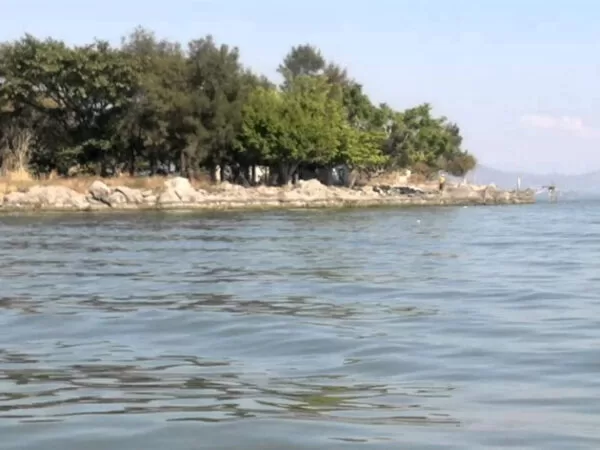 isla de los alacranes