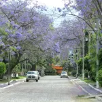 La Floresta Ajijic