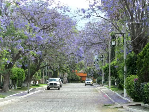 La Floresta Ajijic