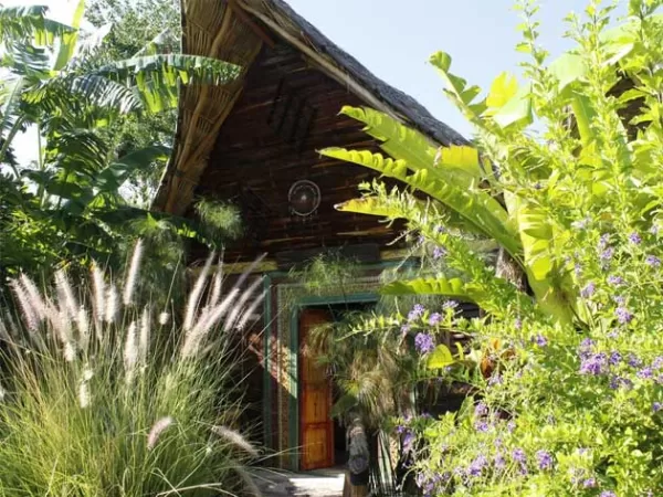 Hotel Mandala Thai Ajijic