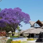 Tinker Luxury Apartments