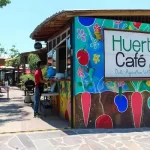 Huerto Cafe Chapala