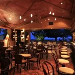 Lake Chapala Bars and Nightclubs