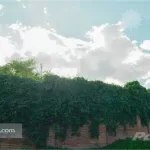 Lot in Jocotepec Privada Lomas De El Chante 9 y 11