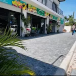 Fresh Market San Antonio Tlayacapan, Jalisco